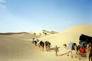 Sahara, pustynia, karawana, Tunezja, dromader, wyprawa, Wielki Erg, piasek, Aslema Tours, ogromne wydmy, podróż